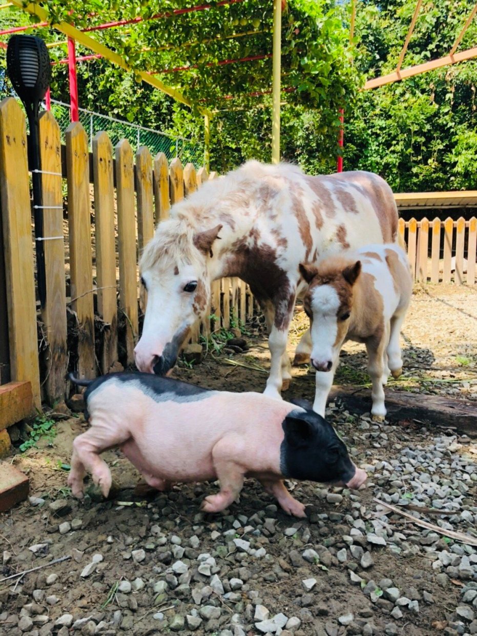 UNUWBCJd0CMH9AV0bCW3mnzZLXm3nmd0ZhVxNRWq