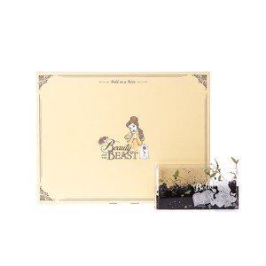 HOLA 迪士尼系列公主個人植栽–美女與野獸(香蜂草)