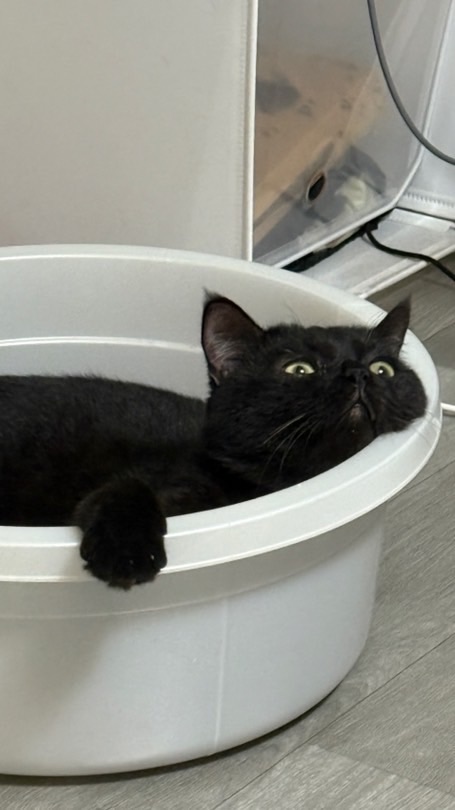 生啤來一手