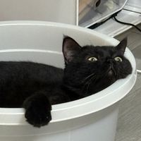 生啤來一手