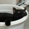 生啤來一手