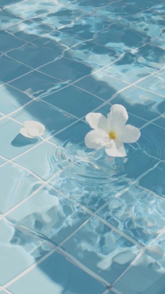 微光のKpop天地☆免宣拐☆