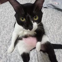 快樂小群