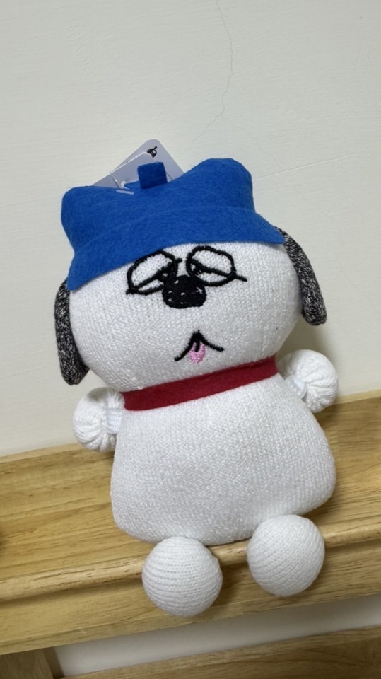 10/28-11/5大阪歐拉夫爆買代購