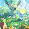 ポケモンGO初心者集まれ～