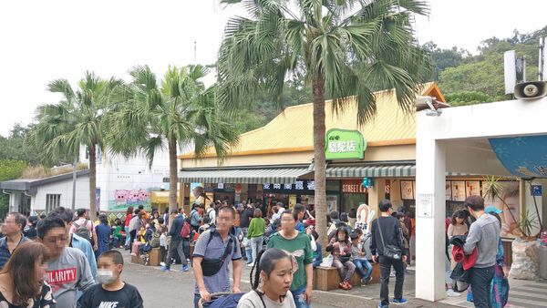 【台北景點】台北市立動物園-逛一整天也逛不完的必去景點！大朋友小朋友最適合的親子旅遊