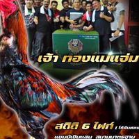ซุ้ม ดาบภัทร แม่แจ่ม