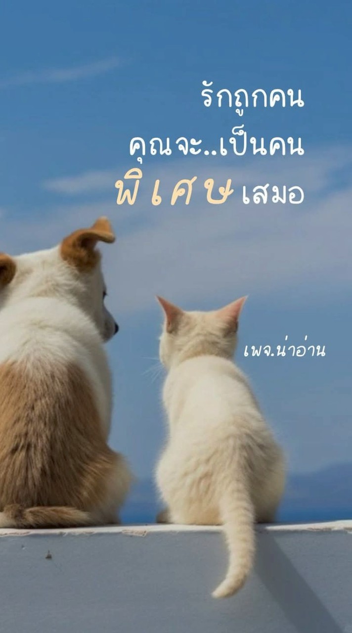 ❤️‍🩹ห้องหนุ่มโสด ❤️‍🩹สาวโสด ❤️‍🩹พูดคุยกัน ❤️‍🩹แก้เหงา❤️‍🩹