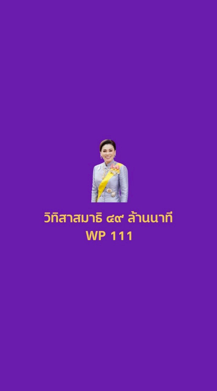 WP111 วิทิสาสมาธิ 49 ล้านนาที