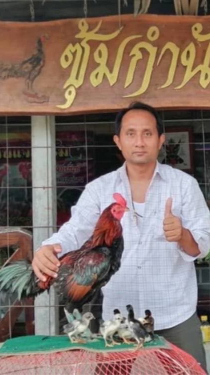 เพื่อนไก่บางจัก