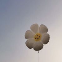 小公主韓國代購