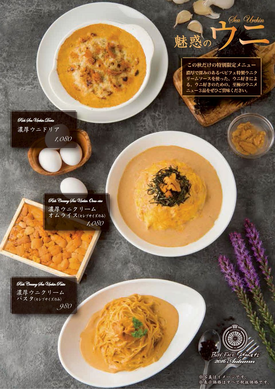 Mixed Media Feed ベビーフェイスプラネッツ札幌平岡店