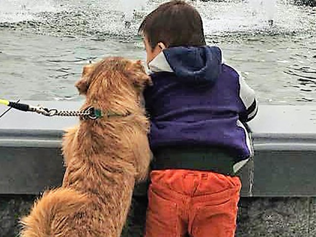 ダウン症の小学生を支えるテリア犬は 兄であり弟であり親友 ニッポン放送 News