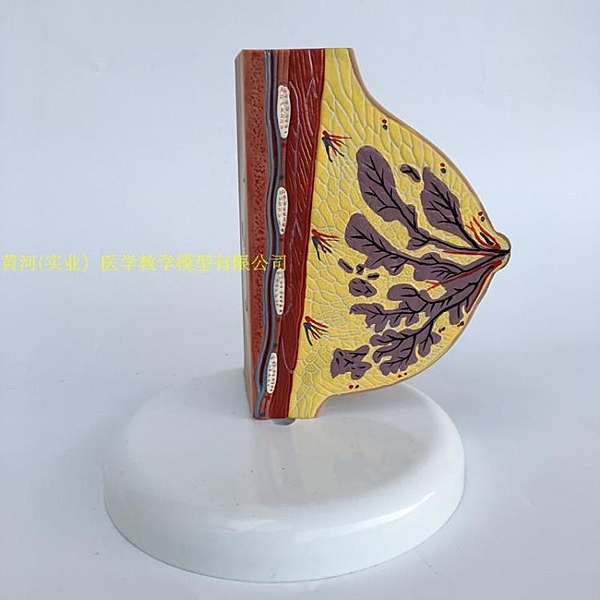 商品任何問題請留言