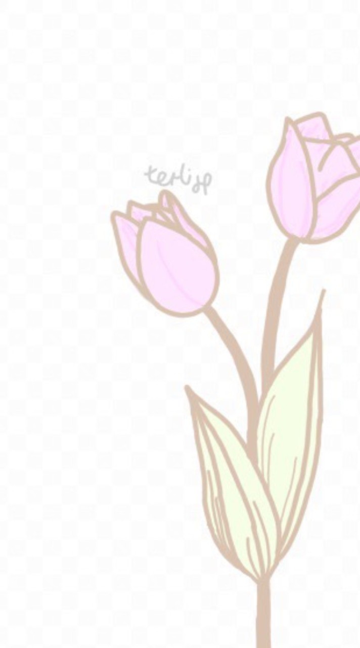 TULIP group 🤍