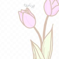 TULIP group 🤍