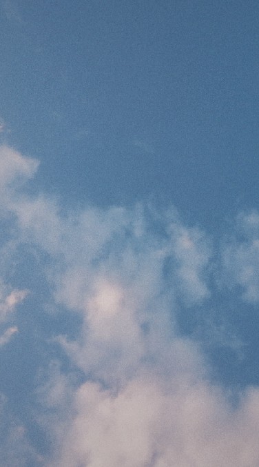 菇菇和他的小編們 ˎ₍•ʚ•₎ˏ