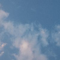 菇菇和他的小編們 ˎ₍•ʚ•₎ˏ