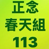 正念113春天好友組