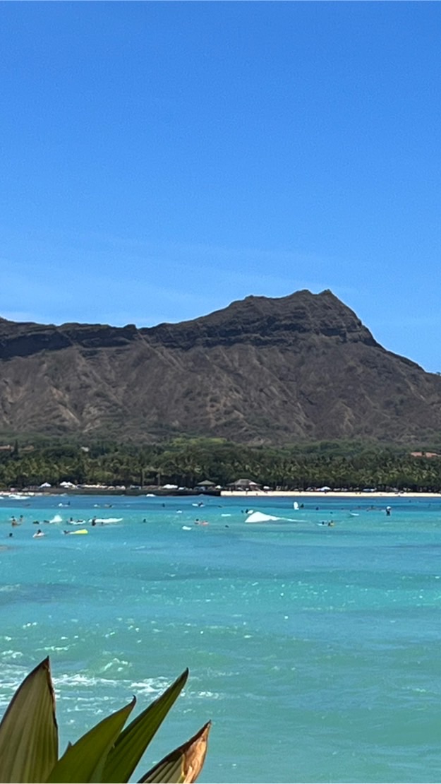 CAFE DE HAWAII (🌈ハワイ旅情報共有☀️)