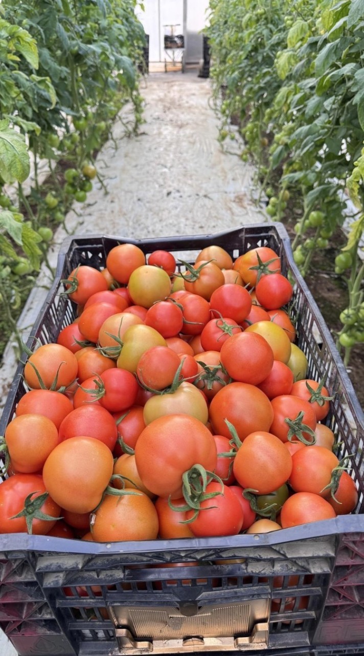 🇹🇼งานบินงานย้ายไต้หวันบ้านเรย์ด้าน🇹🇼