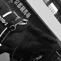 馬んちゅ語り人支店🏇ルイ競馬