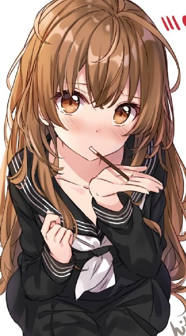 Toradora