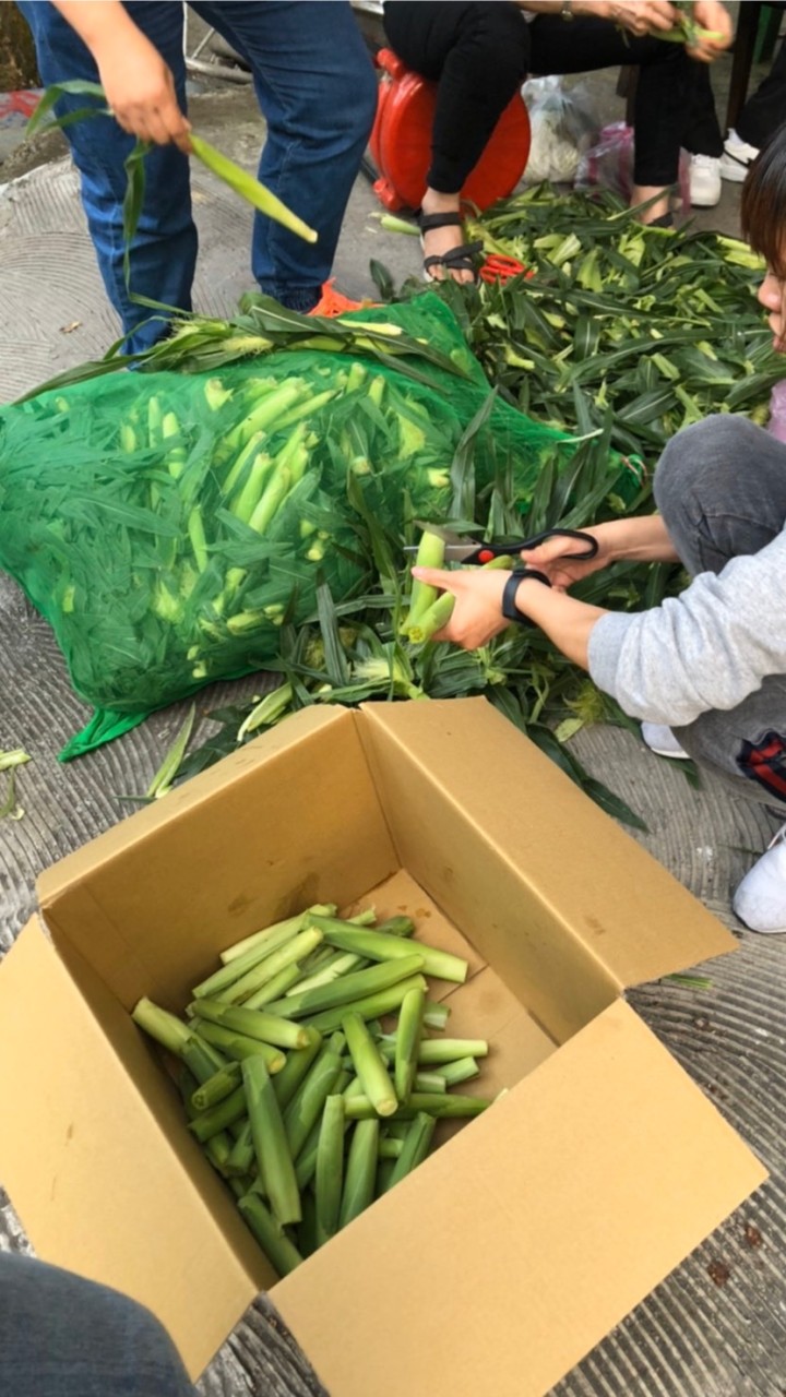 雲林褒忠🧄🌽玫君媽媽自產自銷-桃園各區