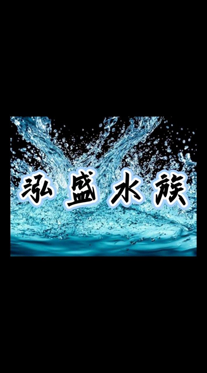 泓盛水族 直購交流群