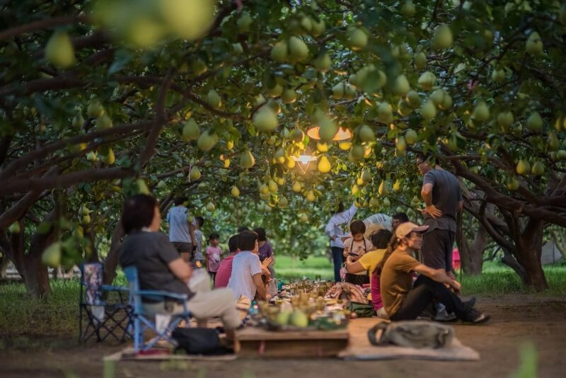 台南麻豆文旦園匠生活