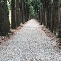 沙工111會計實務重補修