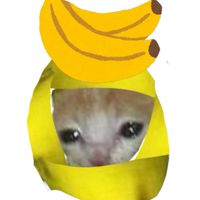 ピーリーだおの雑談