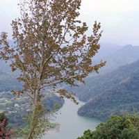 熟女50+揪伴帶皮克敏一起種花(平日火車旅行）