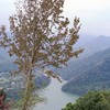 熟女50+揪伴帶皮克敏一起種花(平日火車旅行）