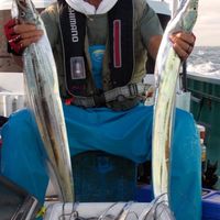 福岡釣り向上委員会