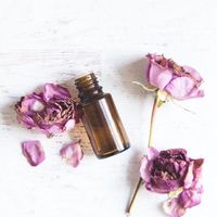 精油資訊交流BOGO群