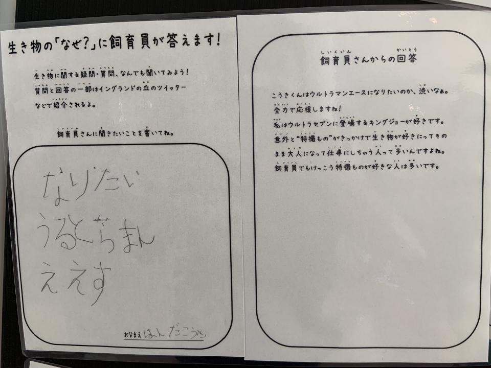 未知の生物 ザリガニヒヨコキンギョ 爆誕 飼育員への質問に対するユニークすぎる回答がこちら