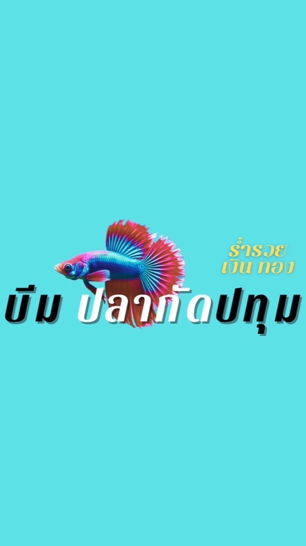 บีมปลากัดปทุม