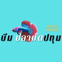 บีมปลากัดปทุม