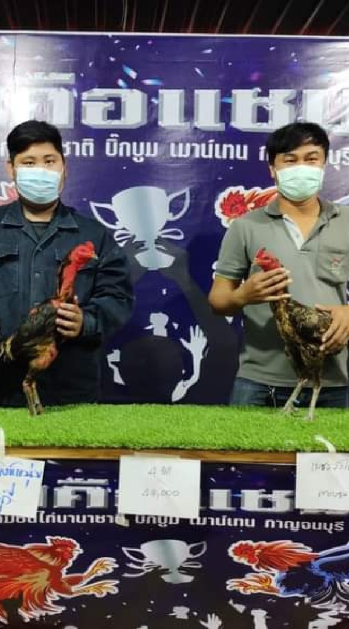 ซุ้ม เพชรวังไผ่