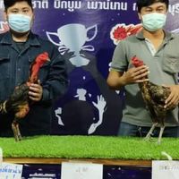 ซุ้ม เพชรวังไผ่