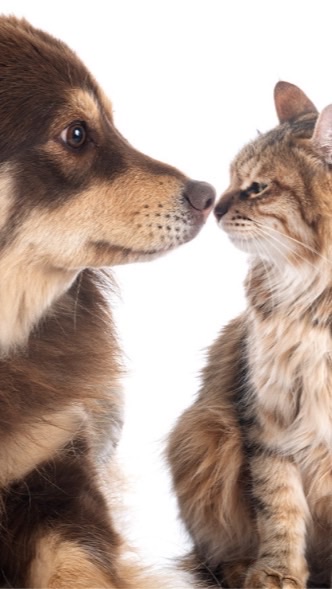 【基層藥師協會】0315動物用藥課程學員