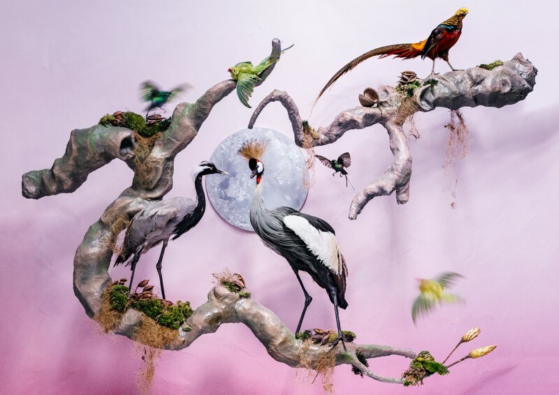 攝影師Tim Walker 以杜桑為靈感之創作