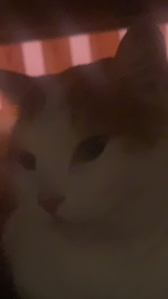 亜細亜  幼稚園