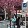 ✧ 那年的夏天 ᝰ ❀