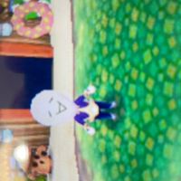 とび森ベスフレ