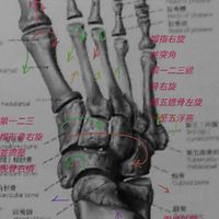 文骨整復--骨架平衡調理