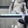 さっさと入って来い 全緩也ハント 〜 ‼️