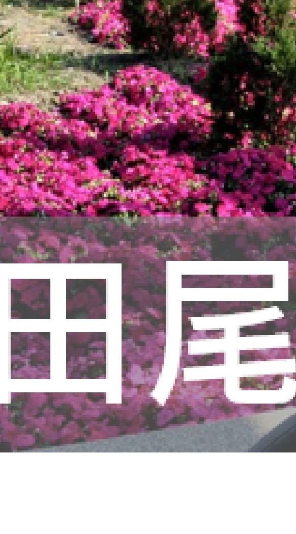 我是田尾人