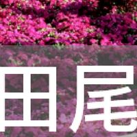 我是田尾人